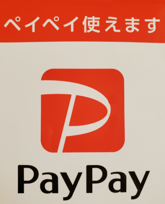 手県滝沢市の整体 ヴィッシュ樹樹療術院/ペイペイ